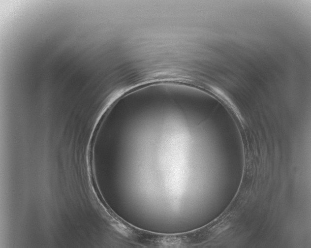 X0000059251291200510211619