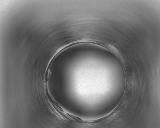 X0000059251292200510211619