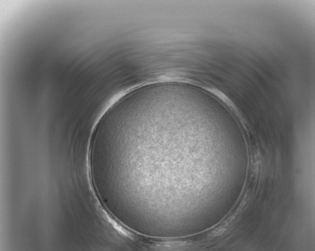 X0000059251294200510211619