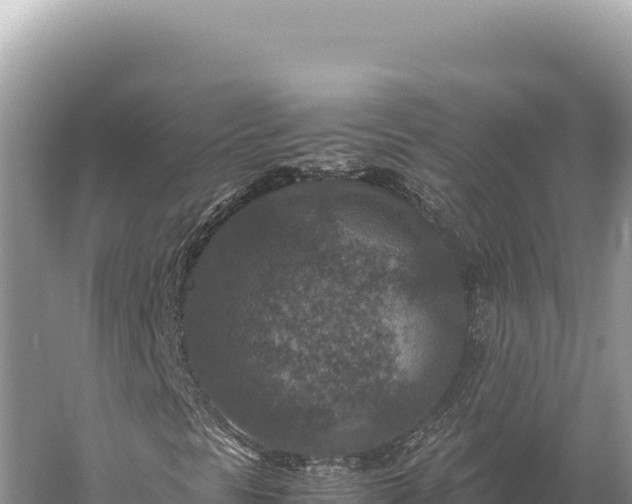 X0000059251297200510211618