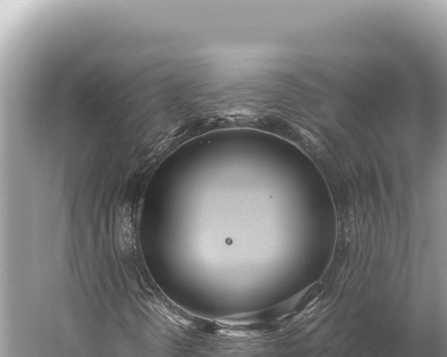 X0000059251298200510211618