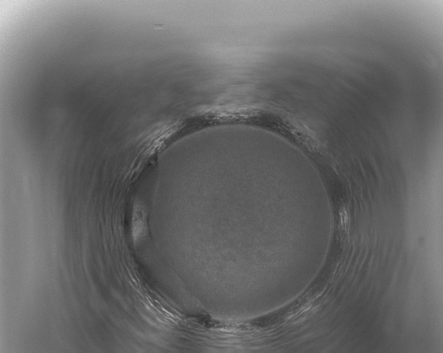 X0000059251300200510211618