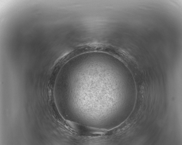 X0000059251302200510211618