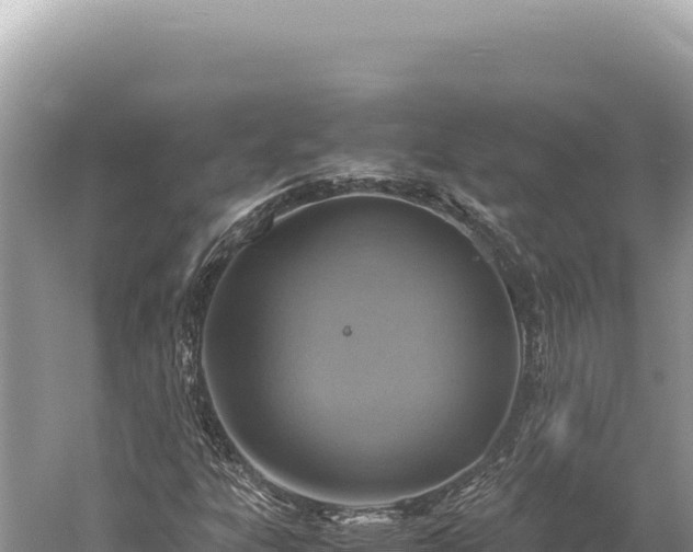 X0000059251303200510211618