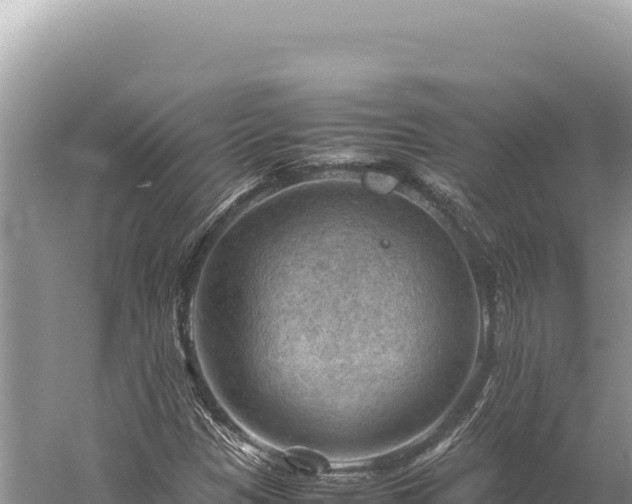 X0000059251305200510211618