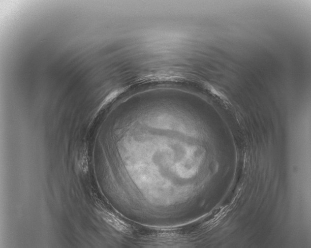 X0000059251306200510211618