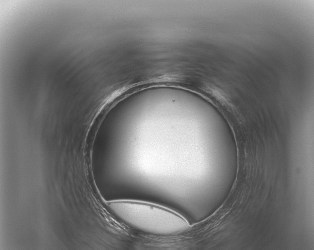 X0000059251308200510211618