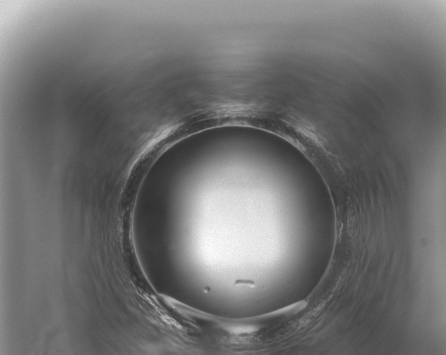 X0000059251309200510211618