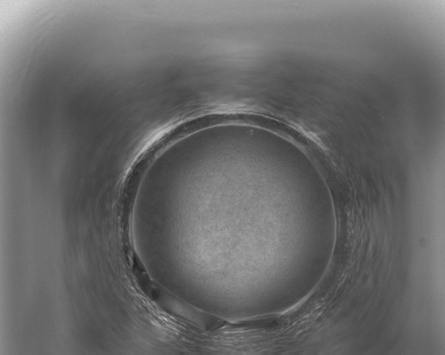 X0000059251311200510211618