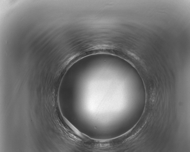 X0000059251313200510211618