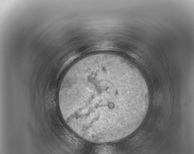 X0000059251314200510211618