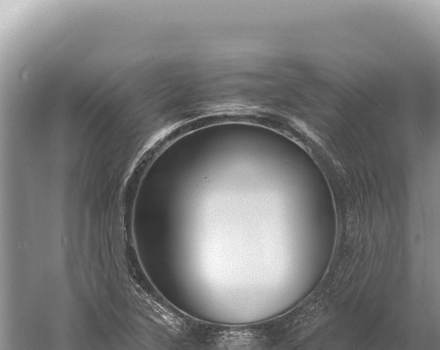 X0000059251315200510211618