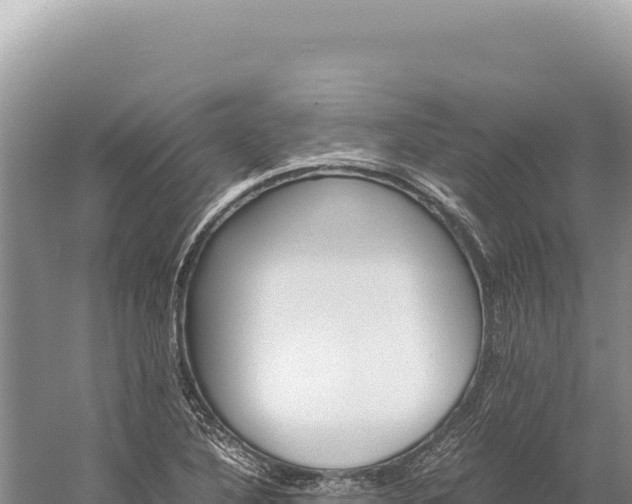 X0000059251316200510211618