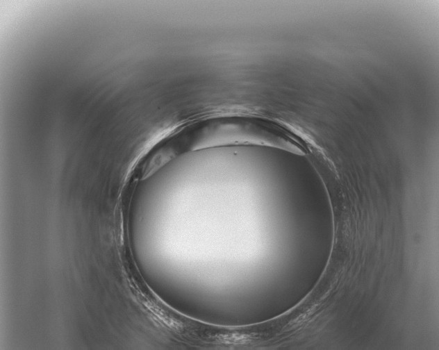 X0000059251317200510211618