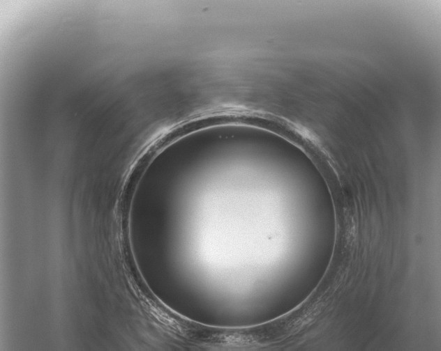 X0000059251318200510211618