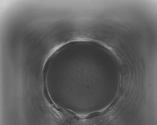 X0000059251319200510211618