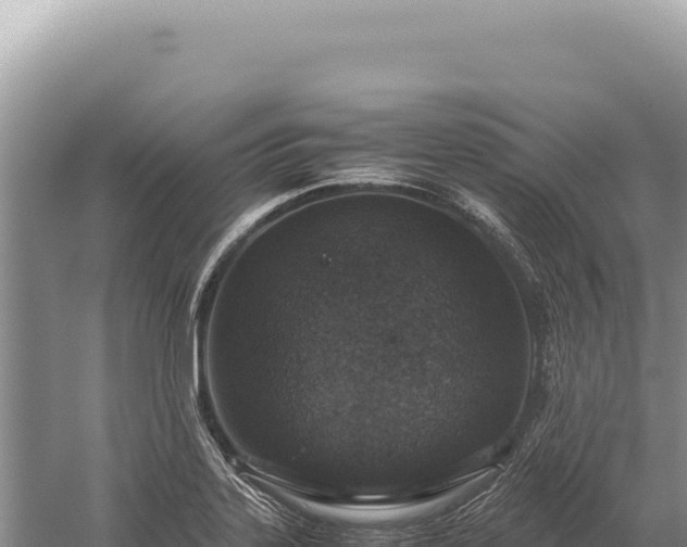 X0000059251323200510211618