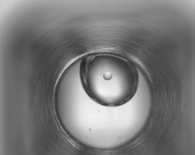 X0000059251324200510211618