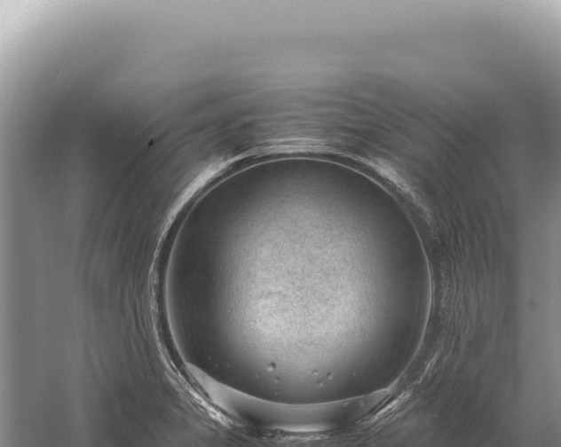 X0000059251325200510211618