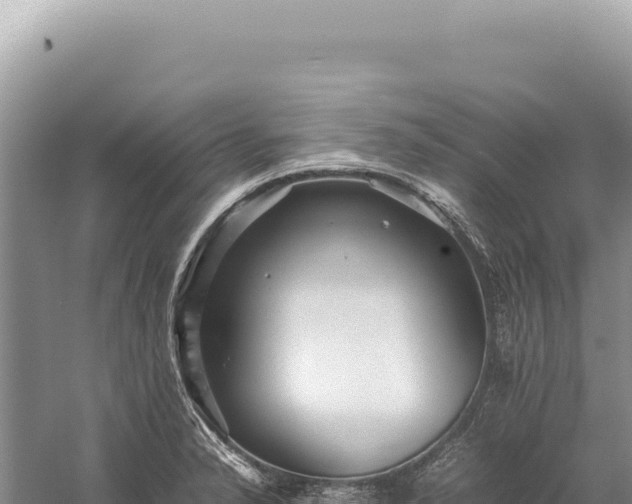 X0000059251326200510211618