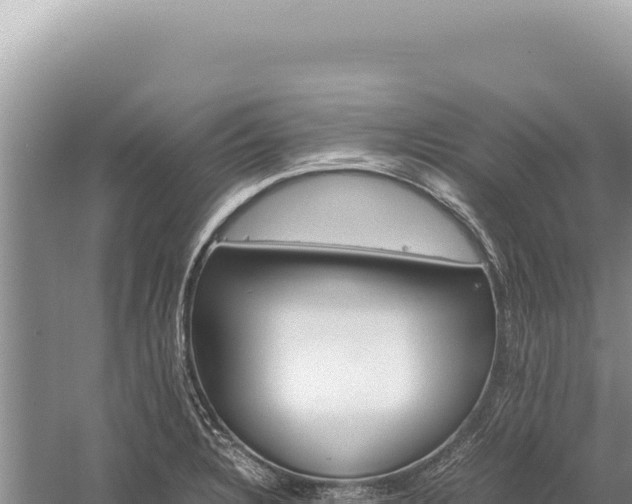 X0000059251328200510211619