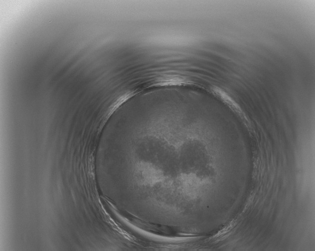 X0000059251329200510211619