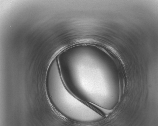 X0000059251330200510211619