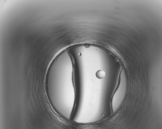 X0000059251332200510211619