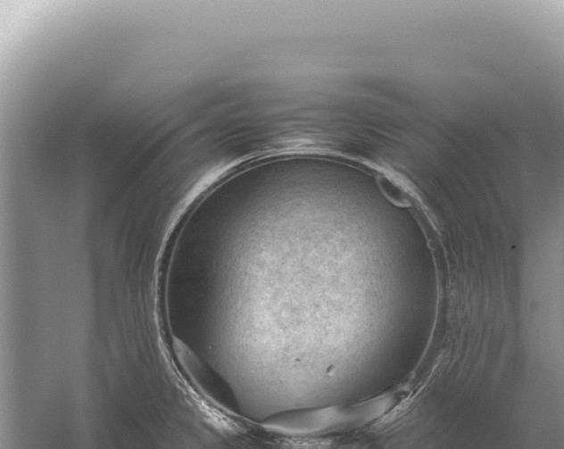 X0000059251333200510211619