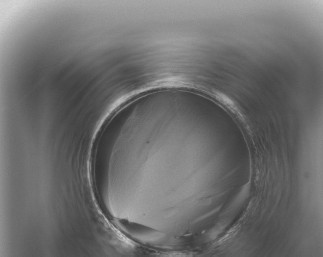 X0000059251334200510211619