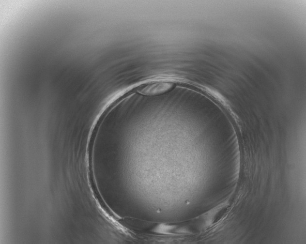 X0000059251335200510211619