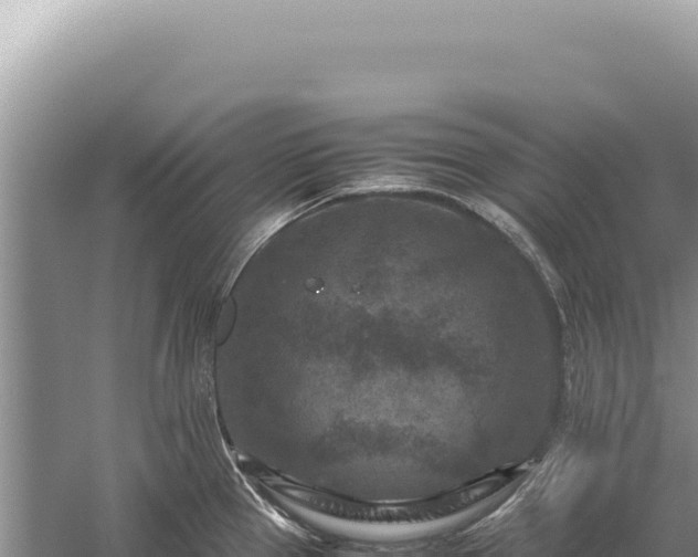 X0000059251337200510211619