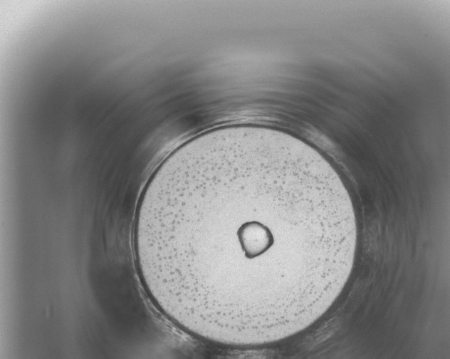 X0000059251338200510211619