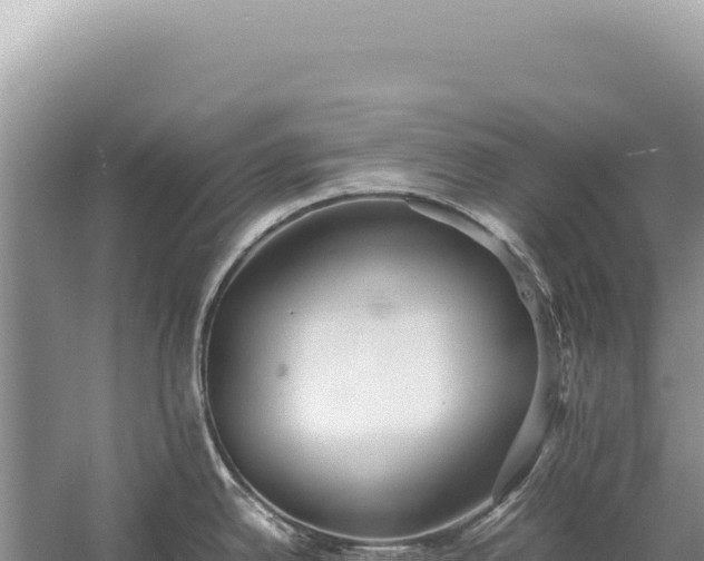 X0000059251342200510211619