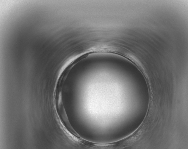 X0000059251344200510211619