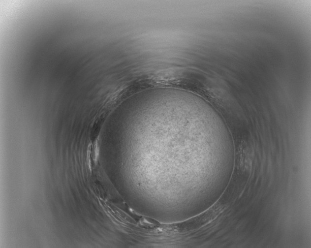 X0000059251346200510211618