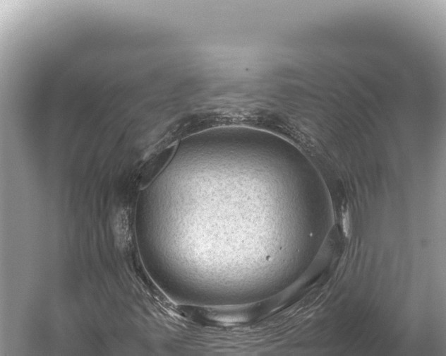 X0000059251347200510211618