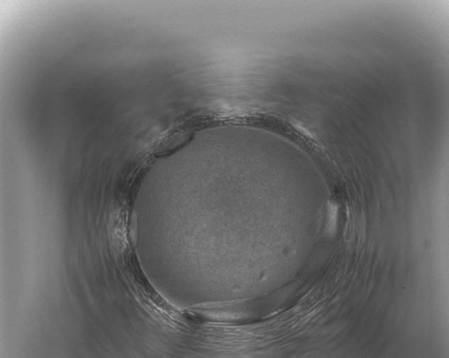 X0000059251348200510211618