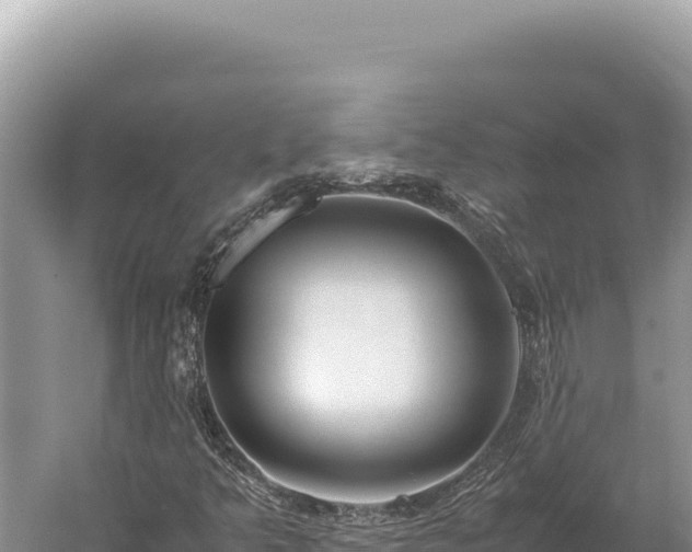 X0000059251349200510211618