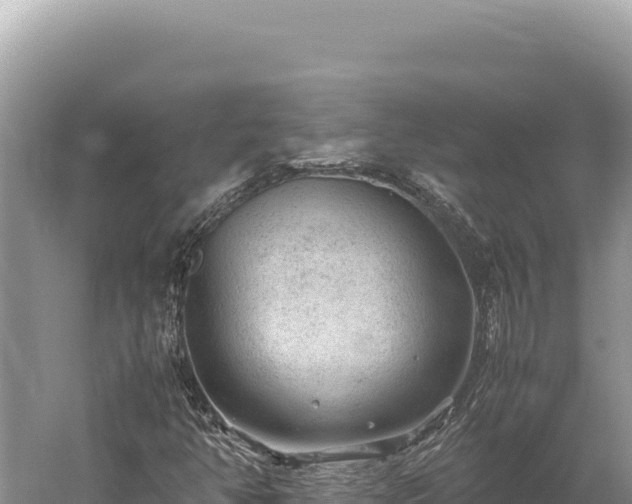 X0000059251350200510211618