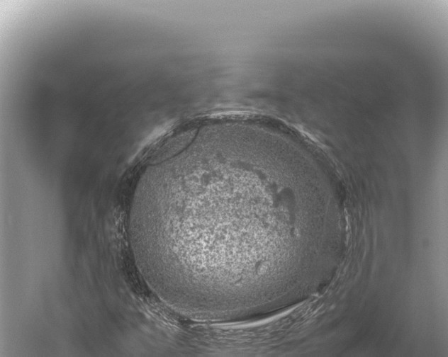 X0000059251351200510211618