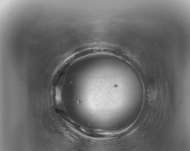 X0000059251352200510211618