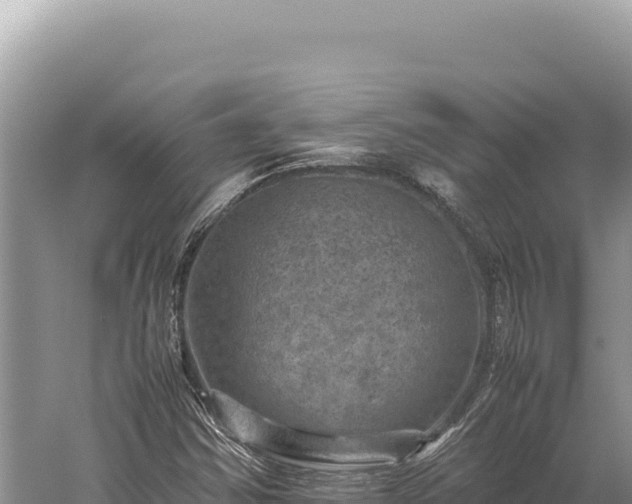 X0000059251354200510211618