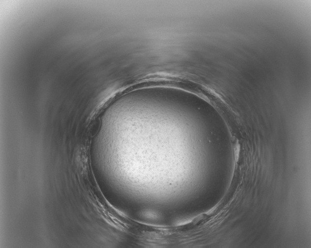 X0000059251355200510211618