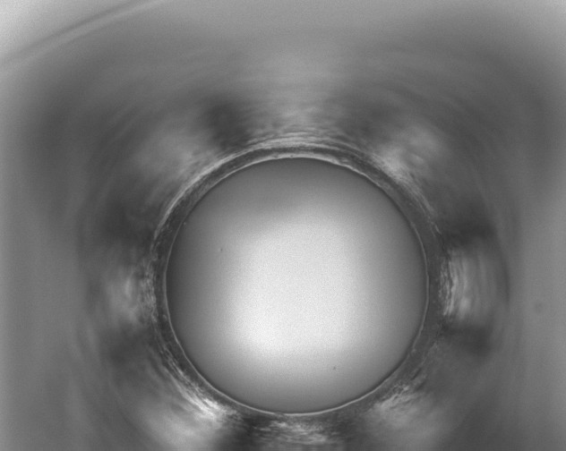 X0000059251356200510211618