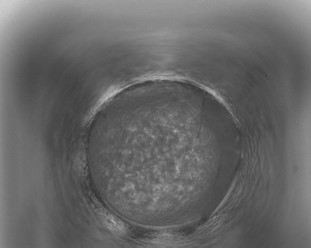 X0000059251359200510211618