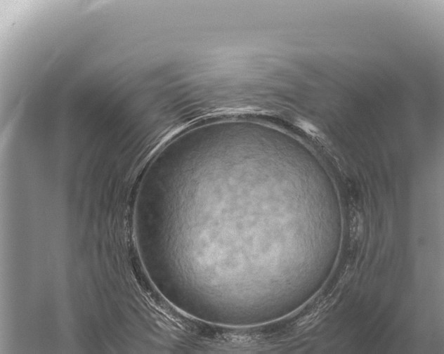 X0000059251361200510211618