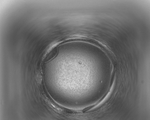 X0000059251363200510211618