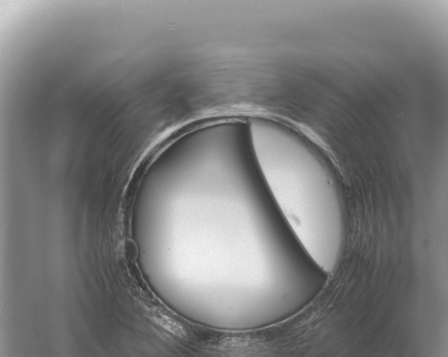 X0000059251364200510211618