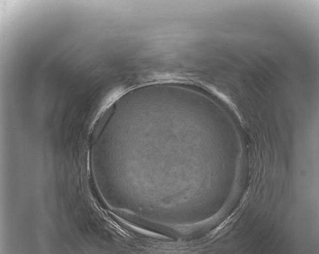 X0000059251365200510211618